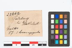 Etikett zu Bronzeperle (NHMW-PRAE-023662)